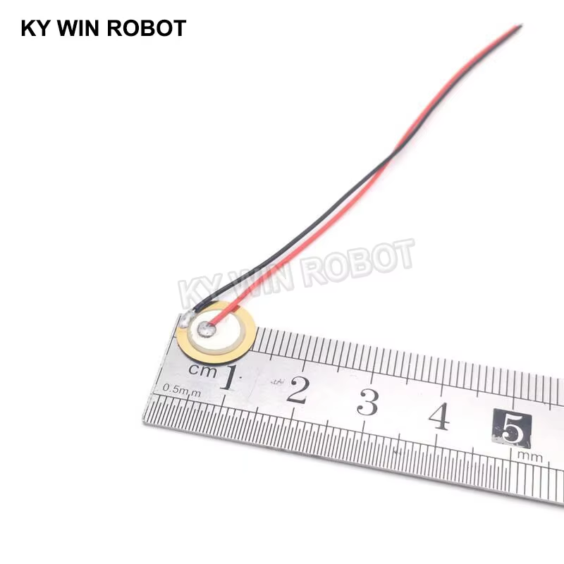 10 Peças de Placa de Cerâmica  - Diy In Electronics avaliação e preço
